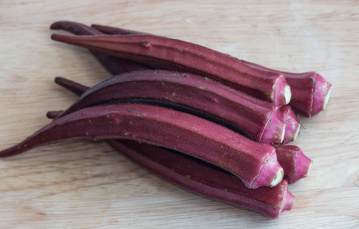 Okra Ketmia Jadalna Burgundy Sklep świat Kwiatów Dostawa Gratis