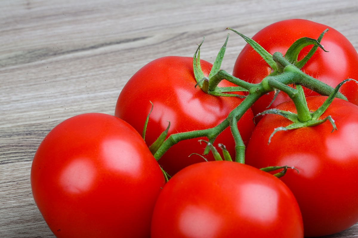 pomidor-promyk-gruntowy-sklep-wiat-kwiat-w-dostawa-gratis