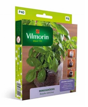 Miniogródek - Bazylia właściwa - mini zestaw do uprawy w domu
