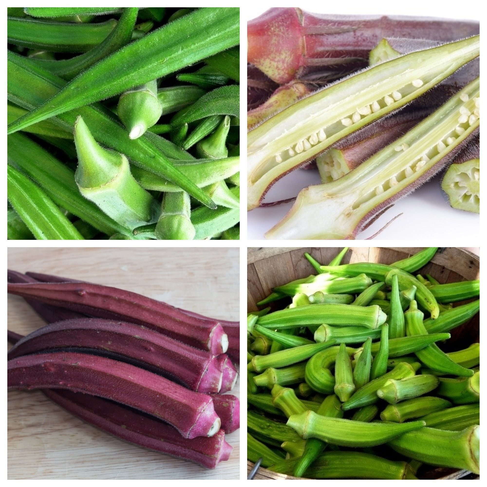Okra Ketmia Jadalna Zestaw 2 Odmian Nasion Warzyw Sklep świat