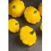 Patison Orange - żółty