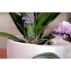 Odżywka orchid power - do storczyków - Compo - 1 x 30 ml
