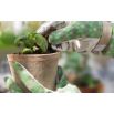 Rękawice ogrodnicze Majbacka - zielone - eleganckie i wygodne