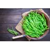 BIO Fasola szparagowa zielona Slenderette - Certyfikowane nasiona ekologiczne