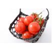 Pomidor Atol - gruntowy, wczesny, niski