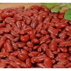 Fasola Kreacja - czerwona, na nasiona, bardzo plenna
