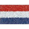 Holenderska flaga - zestaw 3 odmian nasion kwiatów