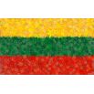 Litewska flaga - zestaw 3 odmian nasion kwiatów
