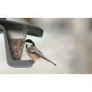 Karmnik dla ptaków z możliwością powieszenia na sznurku lub gałęzi - Birdyfeed Double - antracyt