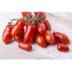 Pomidor S. Marzano 3 - gruntowy, wysoki, hit w krajach śródziemnomorskich!
