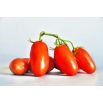 Pomidor S. Marzano 3 - gruntowy, wysoki, hit w krajach śródziemnomorskich!