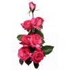 Róża wielkokwiatowa biała z różowym obrzeżeniem - sadzonka