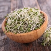 BIO Nasiona na kiełki - Brokuł - Certyfikowane nasiona ekologiczne