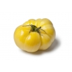 Pomidor White Beauty - gruntowy, biały