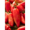 Pomidor Cornabel F1 - szklarniowy wysoki