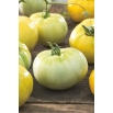 Pomidor White Beefsteak - biały