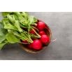 Rzodkiewka Cherry Belle   (czerwona) - b. wczesna - 100 g