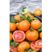 Pomidor Zlatava - gruntowy, wysoki