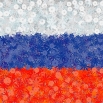 Rosyjska flaga - zestaw 3 odmian nasion kwiatów
