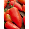 Pomidor Des Andes - typu Bycze Rogi, mięsisty