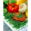 Microgreens - Koper - młode listki o unikalnym smaku - 1 kg