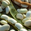 Fasola Karo - na suche nasiona
