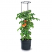 Doniczka z podporami do uprawy pomidorów - Tomato Grower - śr. 39 cm