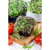 Microgreens - Mizuna - młode listki o unikalnym smaku - 100 gram