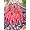 Fasola Borlotto rosso - zwykła, karłowa, na suche nasiona - kolorowy strąk i nasiona