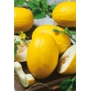 Melon Yellow Canary 2 - wczesny, żółty, owalny, bardzo słodki i aromatyczny