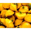 Patison Orange - żółty