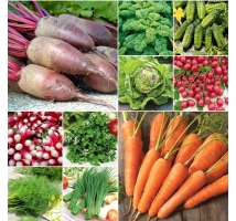 Smak Natury - zestaw warzyw dla wymagających - 10 opakowań nasion