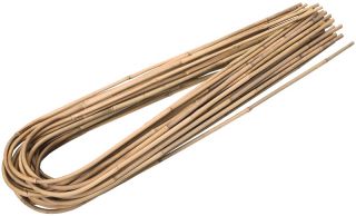 Podpora do roślin z bambusa giętego - 8-10 mm / 45 cm