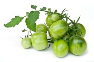 Pomidor Green Zebra - gruntowy wysoki