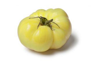 Pomidor White Beefsteak - biały
