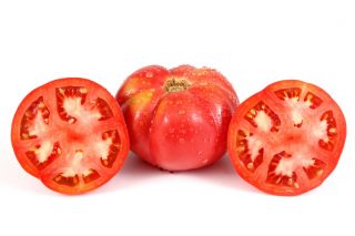 Pomidor Brutus - gigant, nawet do 2 kg