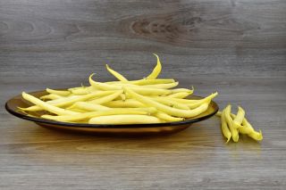 Fasola Luiza - żółta, szparagowa, karłowa - plenna i odporna