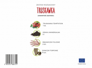 Zestaw rozsadowy 'Truskawka' - zrób sadzonki z nasion - Box S