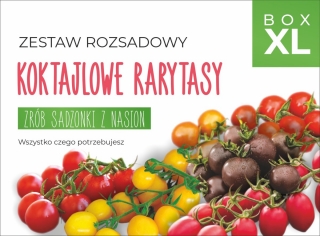 Zestaw rozsadowy pomidorów 'Koktajlowe Rarytasy' -  zrób sadzonki z nasion - Box XL