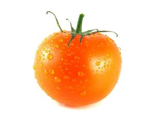 Pomidor Figiel - pomarańczowy