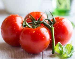 Pomidor Bekas F1 - szklarniowy
