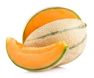 Melon Malaga F1