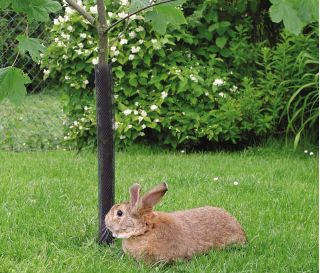 Ochrona drzewek przed królikami, zającami, gryzoniami - 6 x 55 cm - 4 sztuki