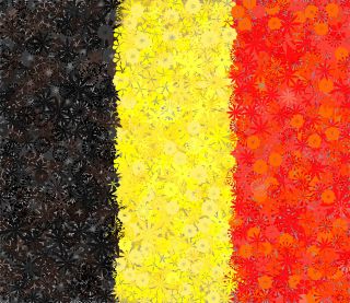 Belgijska flaga - zestaw 3 odmian nasion kwiatów