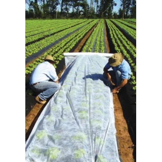 Agrowłóknina wiosenna - ochrona roślin dla zdrowych plonów - 1,60 m x 5,00 m