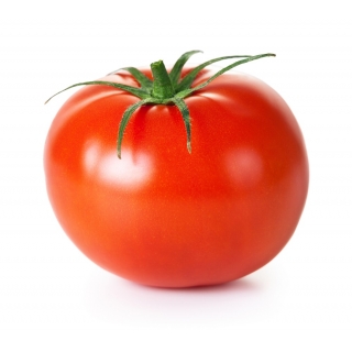 Pomidor Antares nasiona