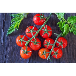 Pomidor Cherrola nasiona