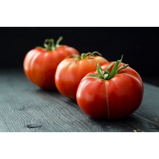 Pomidor Marmande nasiona