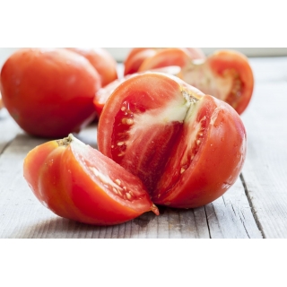 Pomidor wysoki – Adam F1