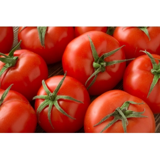 Pomidor karłowy Betalux